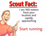 Scout Fact