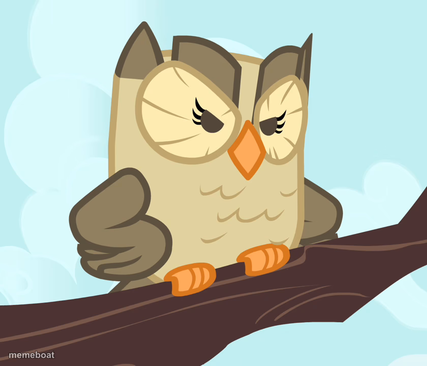 Scowled Owlowiscious (MLP) - meme generator image preview