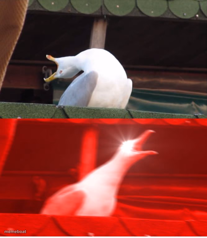 Screamin seagull - meme generator image preview
