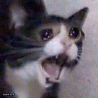 Screaming Cat meme - meme generator image preview