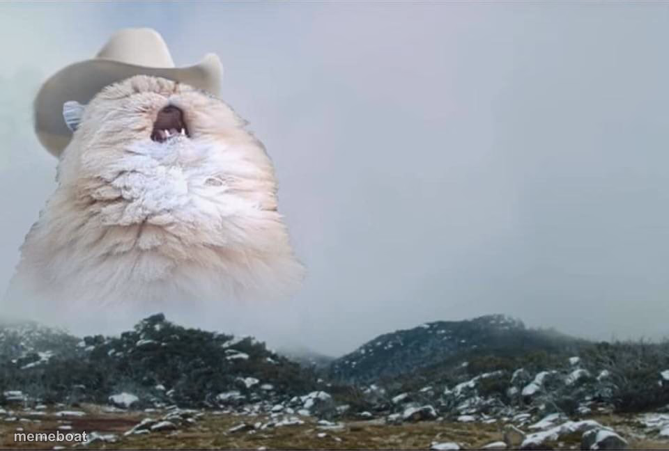 Screaming Cowboy Cat - meme generator image preview