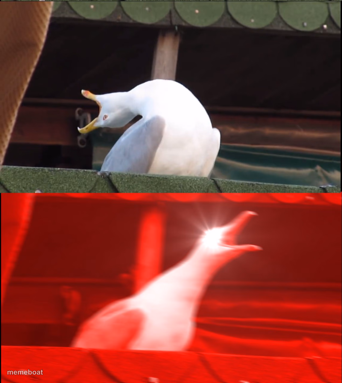 Screaming goose - meme generator image preview