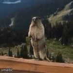 screaming gopher - meme generator image preview