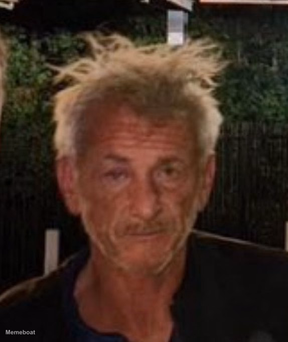 Sean Penn's Pandemic Look - meme generator image preview