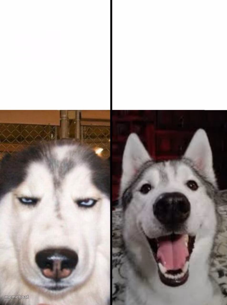 serious vs happy husky - meme generator image preview