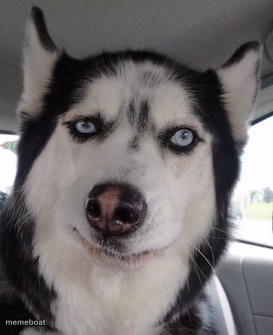 Seriously? - meme generator image preview