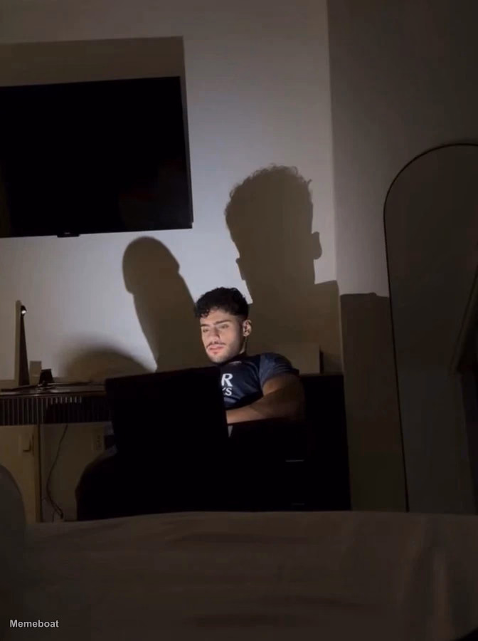 Shadow on the Wall / Person Working on a Laptop - meme generator image preview