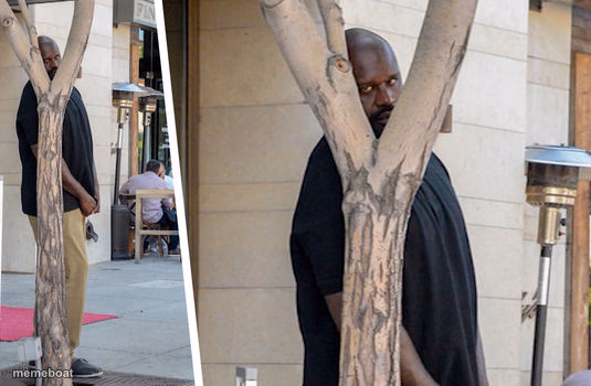 Shaq hiding - meme generator image preview