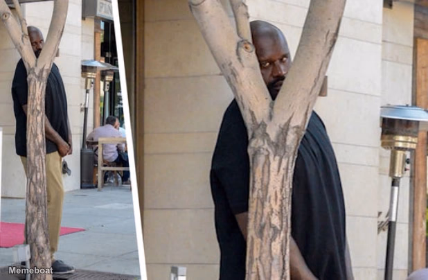 Shaq hiding - meme generator image preview