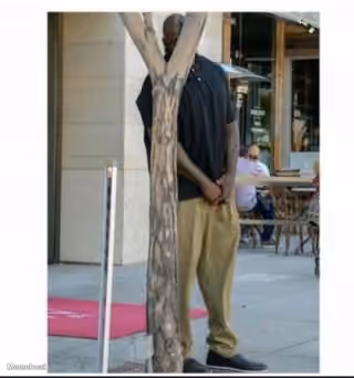 Shaq Hiding Behind Tree