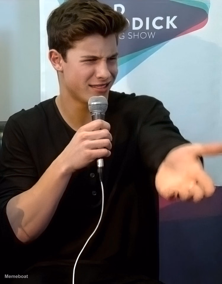 Shawn Mendes Confused - meme generator image preview
