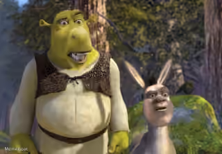 Shrek And Donkey Shocked