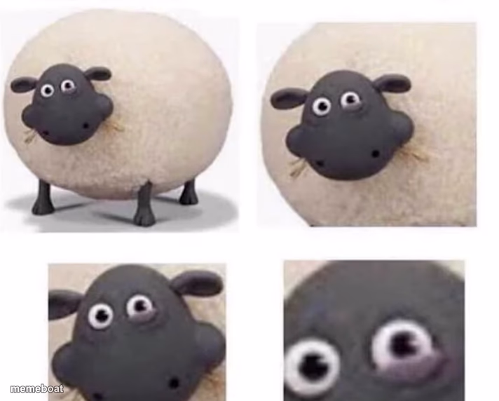 Sheep With Half Closed Eye - meme generator image preview