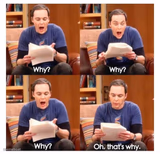 sheldon