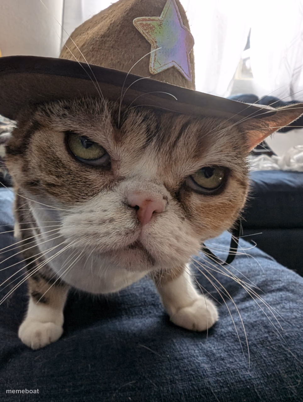 Sheriff Bean - meme generator image preview