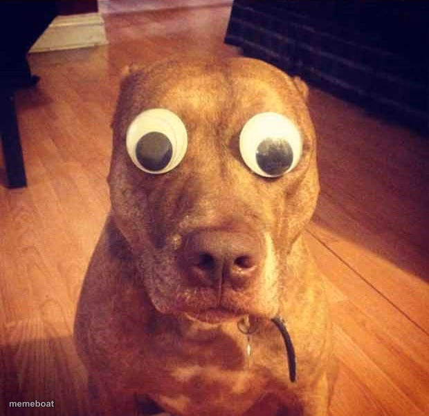 Shocked - meme generator image preview