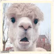 Shocked - meme generator image preview