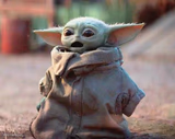 Shocked baby yoda