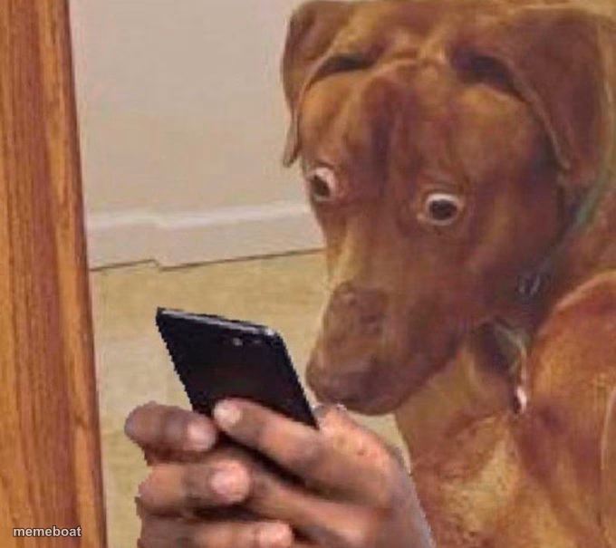 shocked dog - meme generator image preview