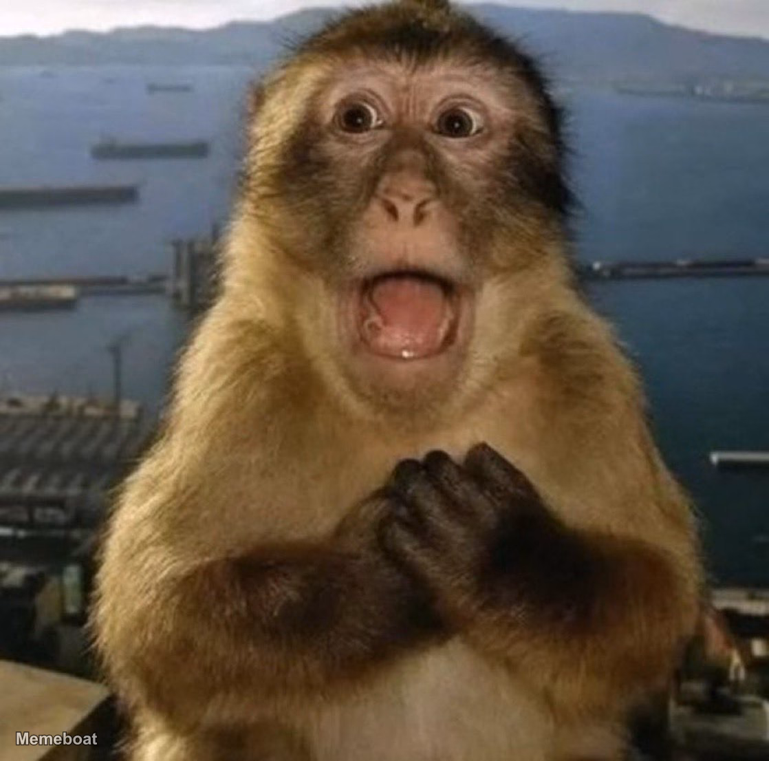 Shocked Monkey - meme generator image preview