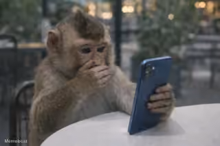 Shocked Monkey Looking at Phone