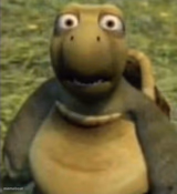 shocked turtle