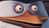 Shook Skipper