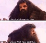 Shouldn't have said that