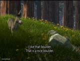 Shrek Donkey I like that boulder. that is a nice boulder.