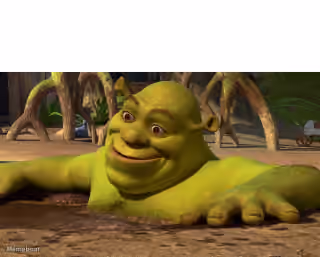 Shrek in Mud