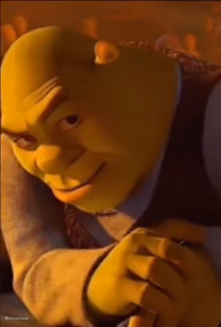 Shrek Rizz