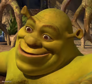 Shrek Smiling