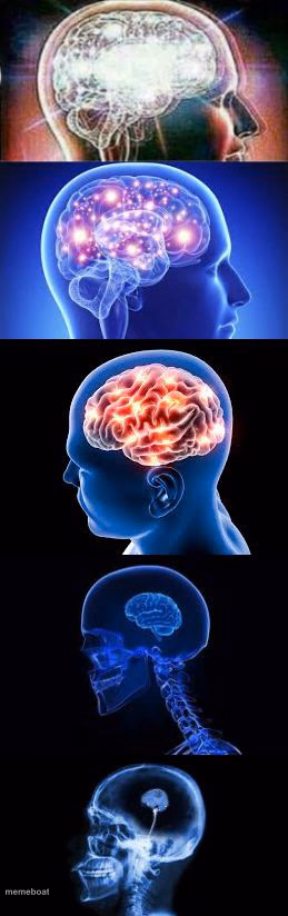 Shrinking Brain - meme generator image preview
