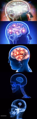 Shrinking Brain