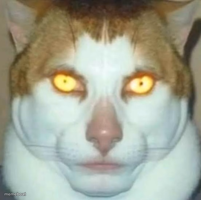 Sigma Cat - meme generator image preview