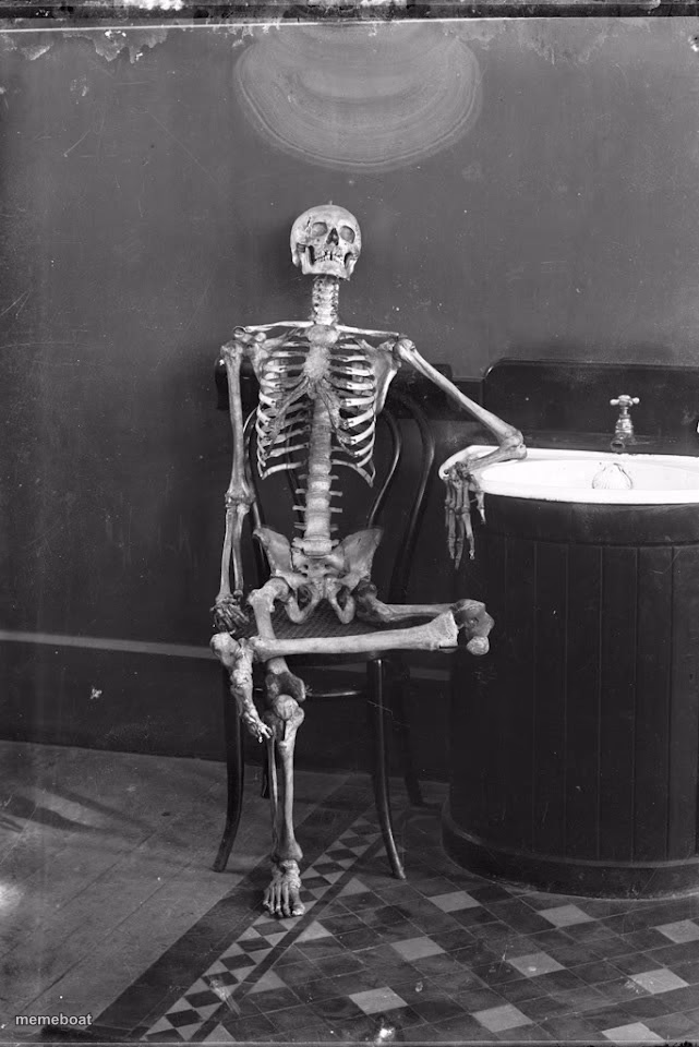 Sitting Skeleton - meme generator image preview