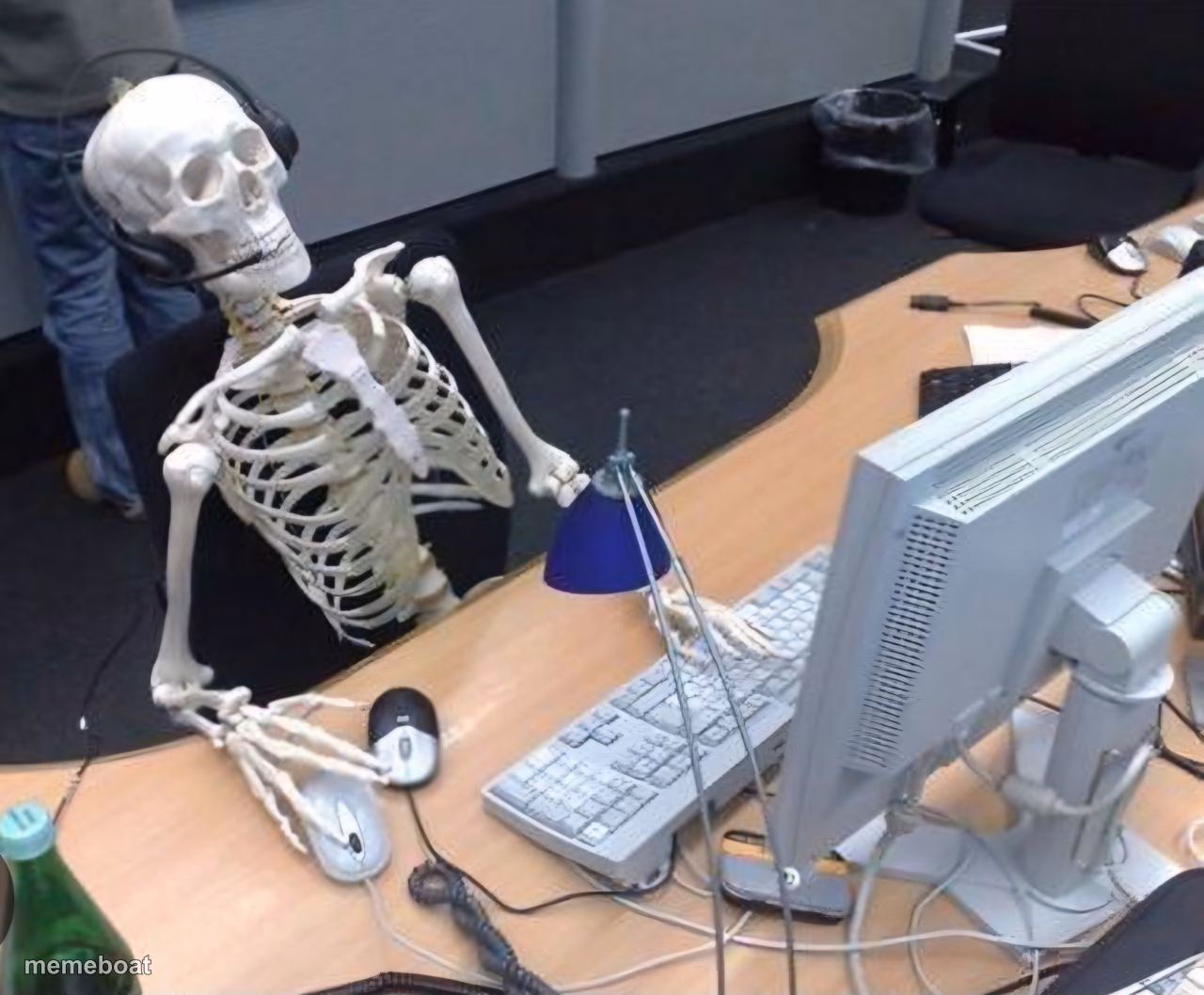 Skeleton at keyboard - meme generator image preview