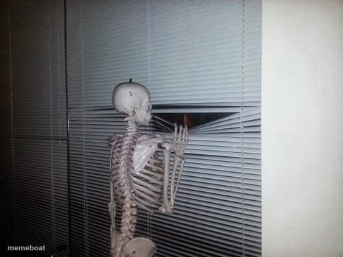 Skeleton Looking Out Window - meme generator image preview