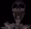 skeleton memes