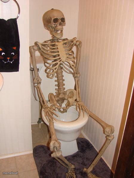 Skeleton on toilet - meme generator image preview