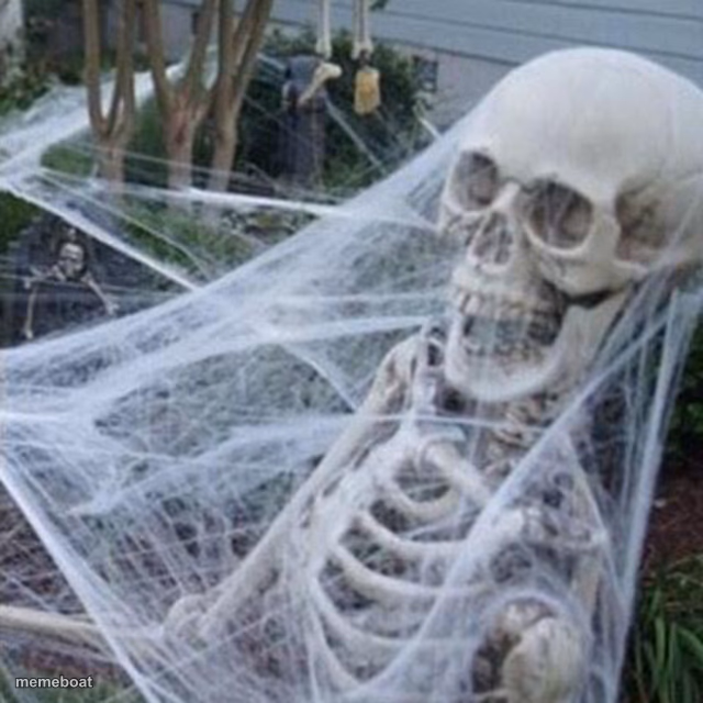 skeleton with spider web - meme generator image preview