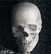 Skull - meme generator image preview