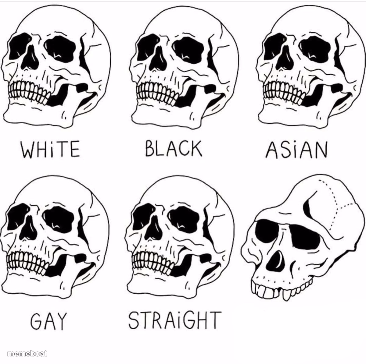 Skull Comparison - meme generator image preview