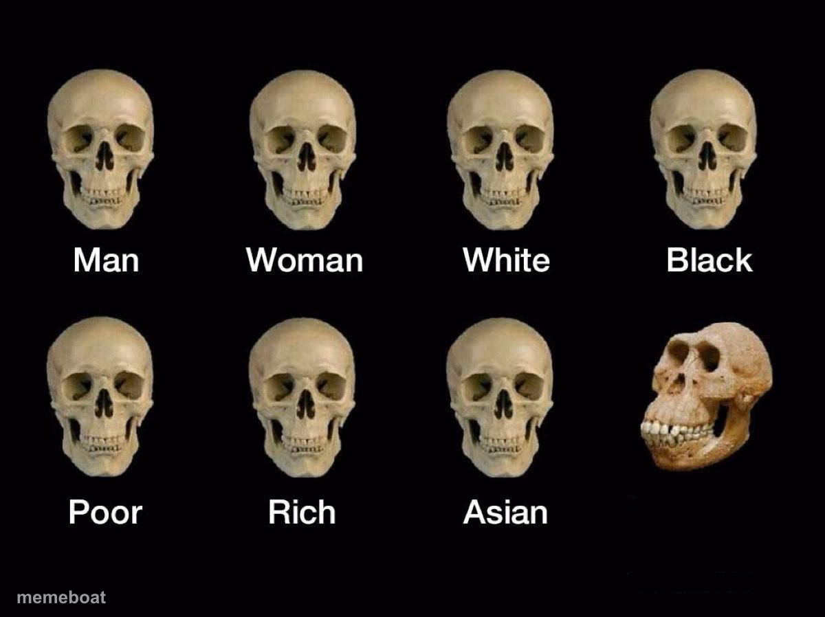 Skull idiot - meme generator image preview