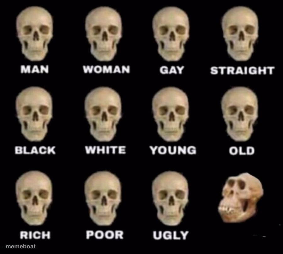 Skulls ape stupid human homo erectus neanderthal - meme generator image preview