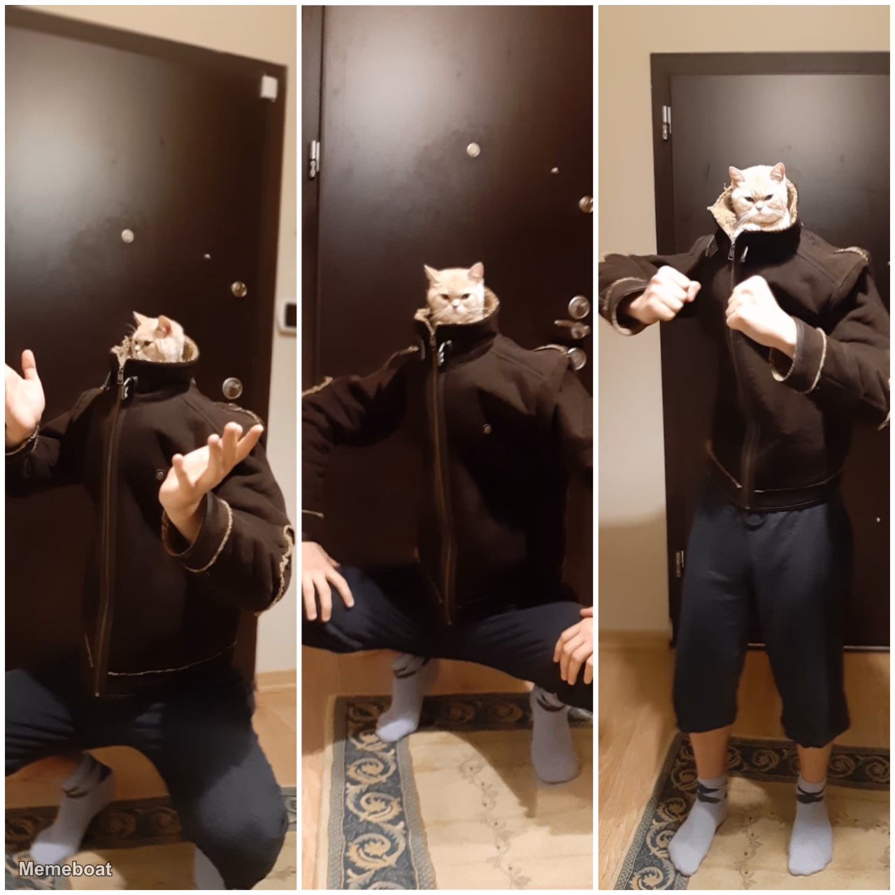 Slav Cat Poses - meme generator image preview