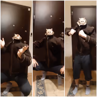 Slav Cat Poses
