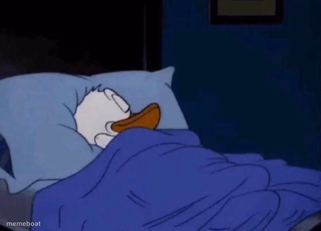 Sleeping Donald Duck - meme generator image preview