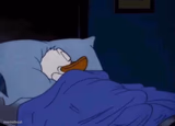 Sleeping Donald Duck