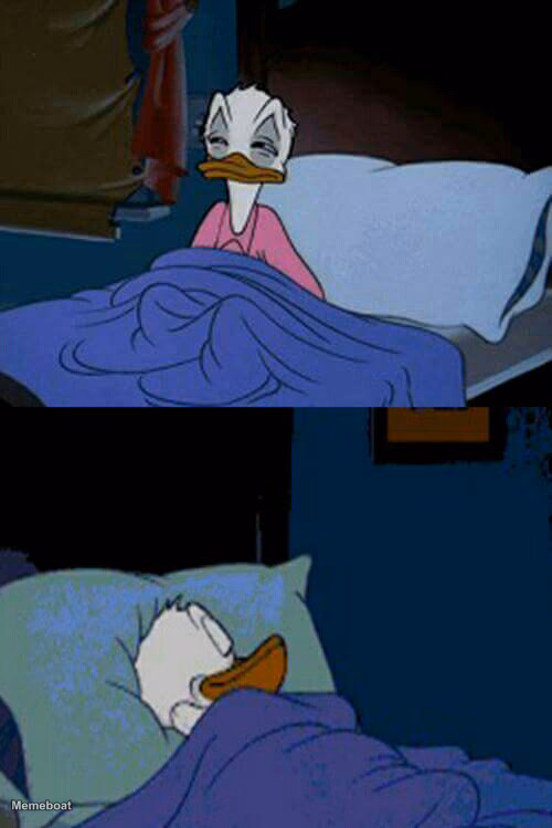 sleepy donald duck in bed - meme generator image preview